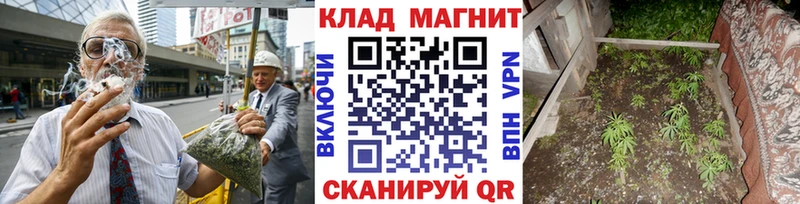 Виды наркотиков купить Кингисепп СОЛЬ Метадон Меф мяу мяу МАРИХУАНА Cocaine