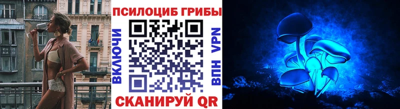 купить наркотики сайты  Кингисепп  Галлюциногенные грибы Magic Shrooms 