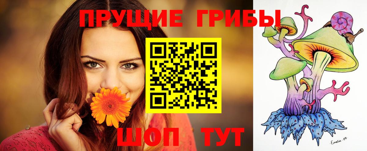 Галлюциногенные грибы ЛСД  Вход с VPN  Кингисепп 